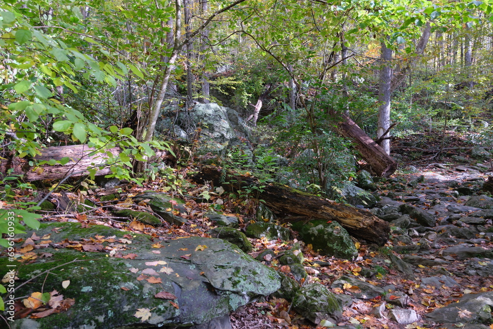 Fototapeta premium hiking in the fog 