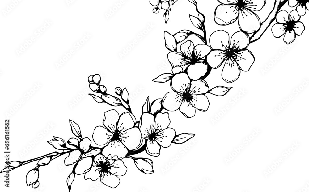 Cherry blossom corner border