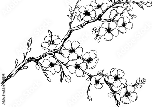 Cherry blossom corner border