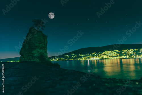 moon over the sea with a lonly tree