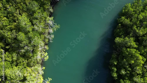 Winding along a Crocodile infested river deep in the tropical Daintree Rainforest National Park. Drone view photo
