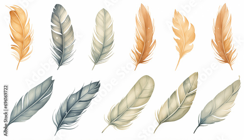 Cute Boho collection, featuring a set of bird feathers on a white background. © Old Man Stocker