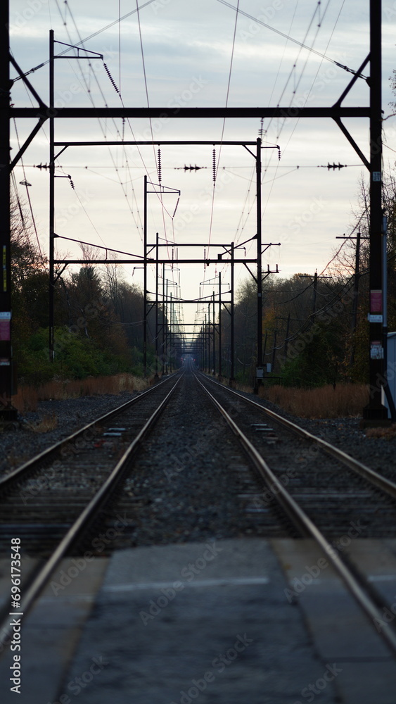 Naklejka premium The railway view with the track and the colorful woods as background in the autumn morning