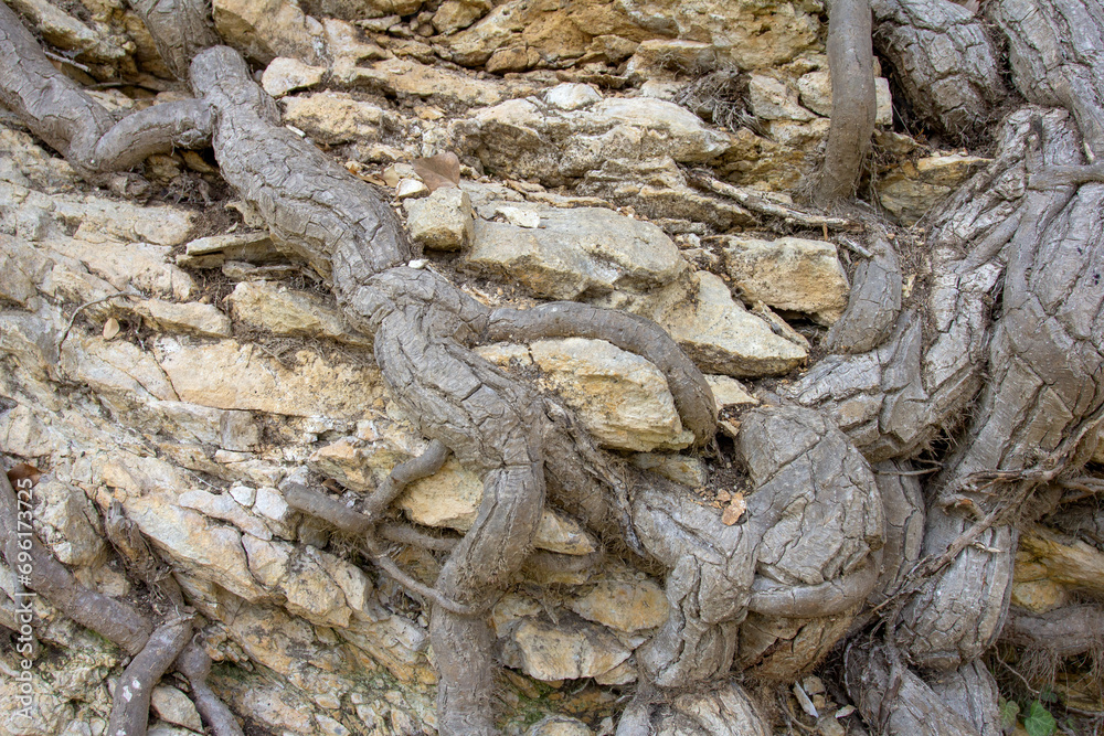 the wall of a mountain canyon made of natural material, stone - limestone material of volcanic origin, close-up.