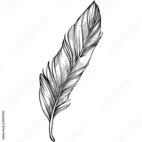 feather handdrawn illustration
