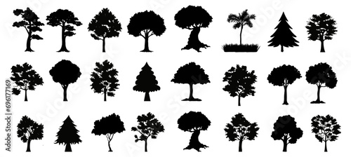 silhouette tree line drawing set, Side view, set of graphics trees elements outline symbol for architecture and landscape design drawing. Vector illustration in stroke fill in white. Tropical photo