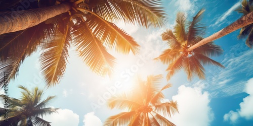 Gazing up at the blue sky and palm trees  with a vintage-style touch  creating a tropical beach and summer background with sunlights shimmering and creating a defocused effect