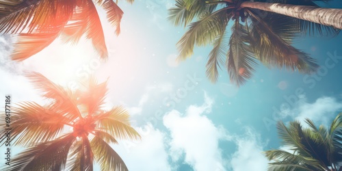 Gazing up at the blue sky and palm trees, with a vintage-style touch, creating a tropical beach and summer background with sunlights shimmering and creating a defocused effect