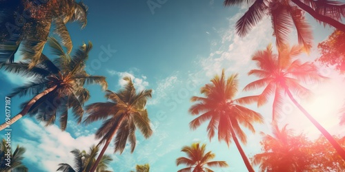Gazing up at the blue sky and palm trees, with a vintage-style touch, creating a tropical beach and summer background with sunlights shimmering and creating a defocused effect photo