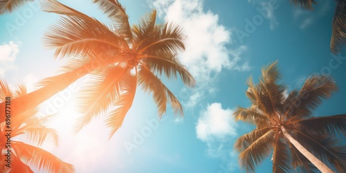 Gazing up at the blue sky and palm trees, with a vintage-style touch, creating a tropical beach and summer background with sunlights shimmering and creating a defocused effect