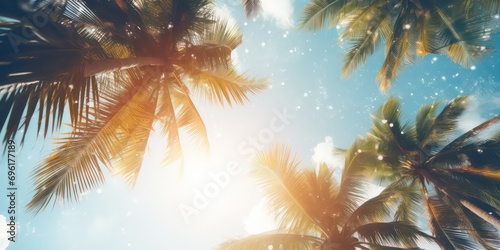 Gazing up at the blue sky and palm trees, with a vintage-style touch, creating a tropical beach and summer background with sunlights shimmering and creating a defocused effect