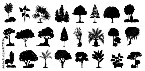 silhouette tree line drawing set, Side view, set of graphics trees elements outline symbol for architecture and landscape design drawing. Vector illustration in stroke fill in white. Tropical