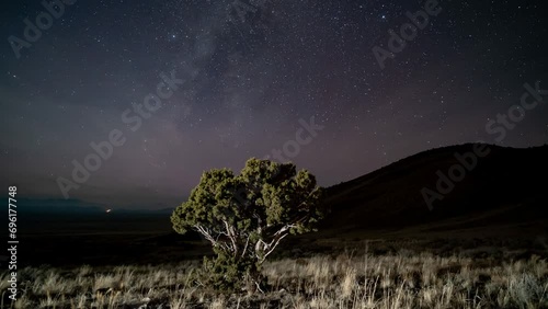 After twilight, the Milky Way crosses the grassland sky above a tree - time lapse photo