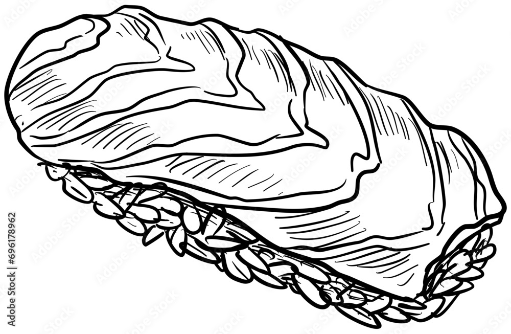 sushi handdrawn illustration sushi handdrawn illustration