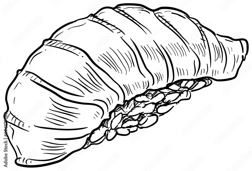 sushi handdrawn illustration sushi handdrawn illustration
