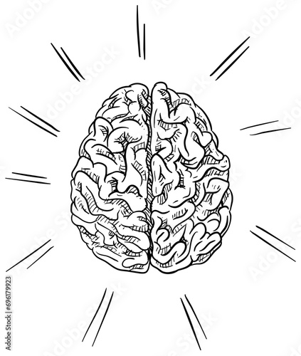 brain handdrawn illustration
