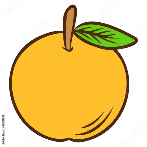 illustration of an orange