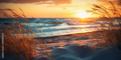 Admire the beauty of a grass dunes beach at sunset with sunlights shimmering