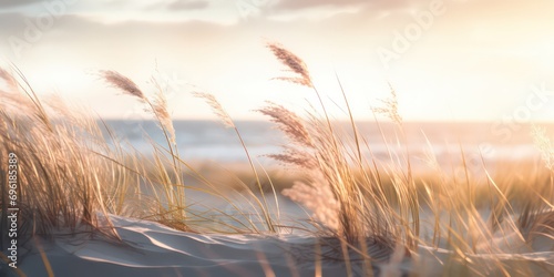 Admire the beauty of a grass dunes beach at sunset with sunlights shimmering