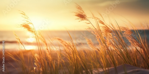 Admire the beauty of a grass dunes beach at sunset with sunlights shimmering