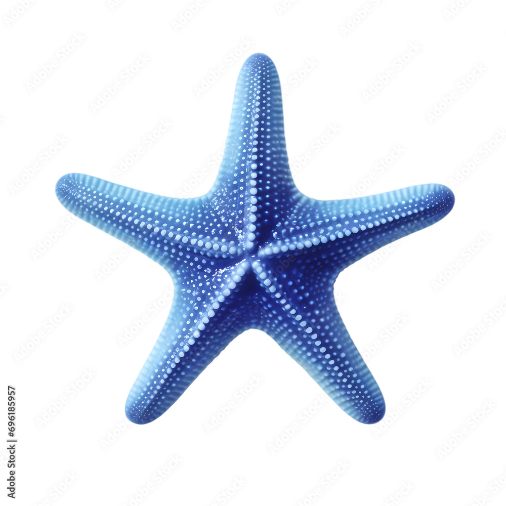 Blue starfish isolated on transparent background Blue starfish isolated on transparent background