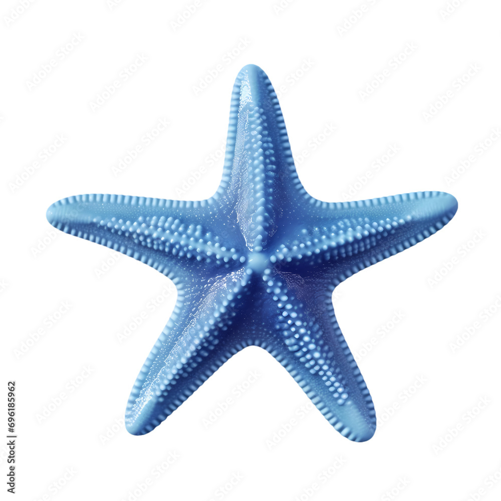 Blue starfish isolated on transparent background Blue starfish isolated on transparent background