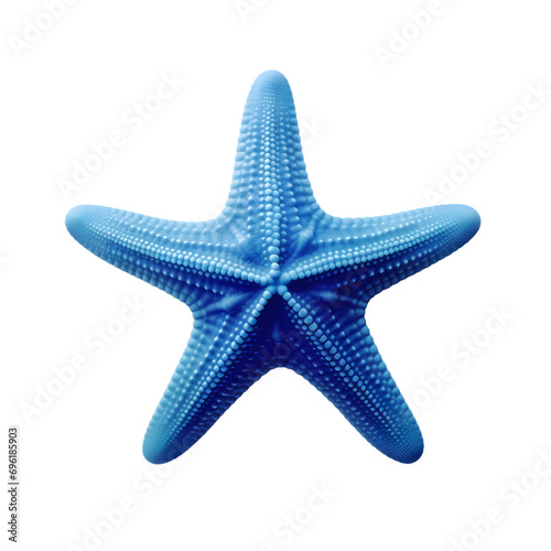 Blue starfish isolated on transparent background