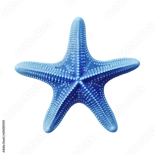 Blue starfish isolated on transparent background