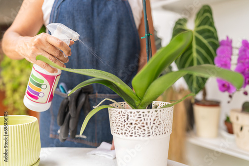 Woman sprays fertilizer on a delicate orchid