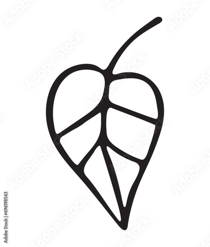 Vector image of a leaf, sprout, plant. Doodle drawing. Image for your design.