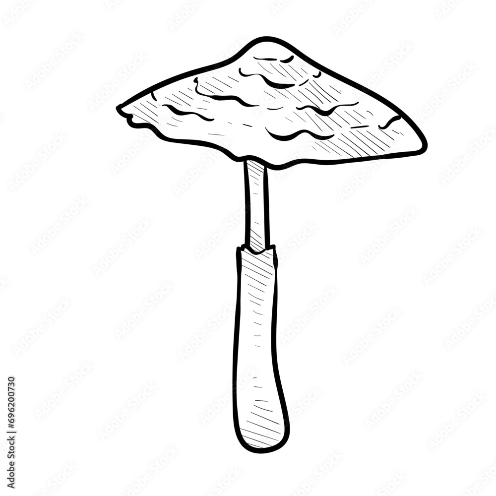 vegetable mushroom handdrawn illustration vegetable mushroom handdrawn illustration