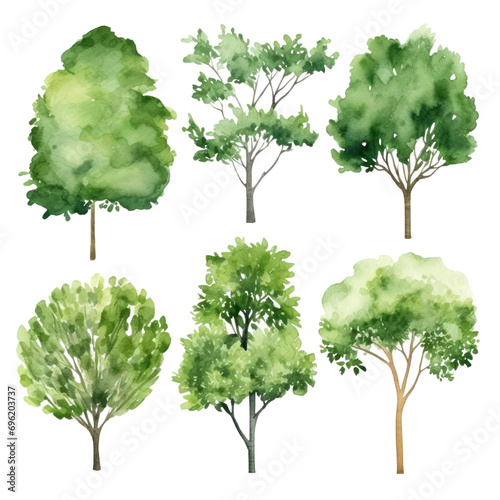 Collection of watercolor illustration green tree isolated on background. PNG transparent background.