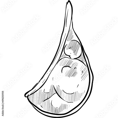 tomahawk steak handdrawn illustration