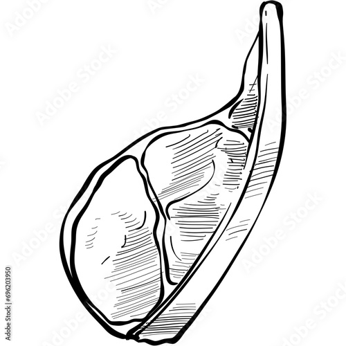 tomahawk steak handdrawn illustration