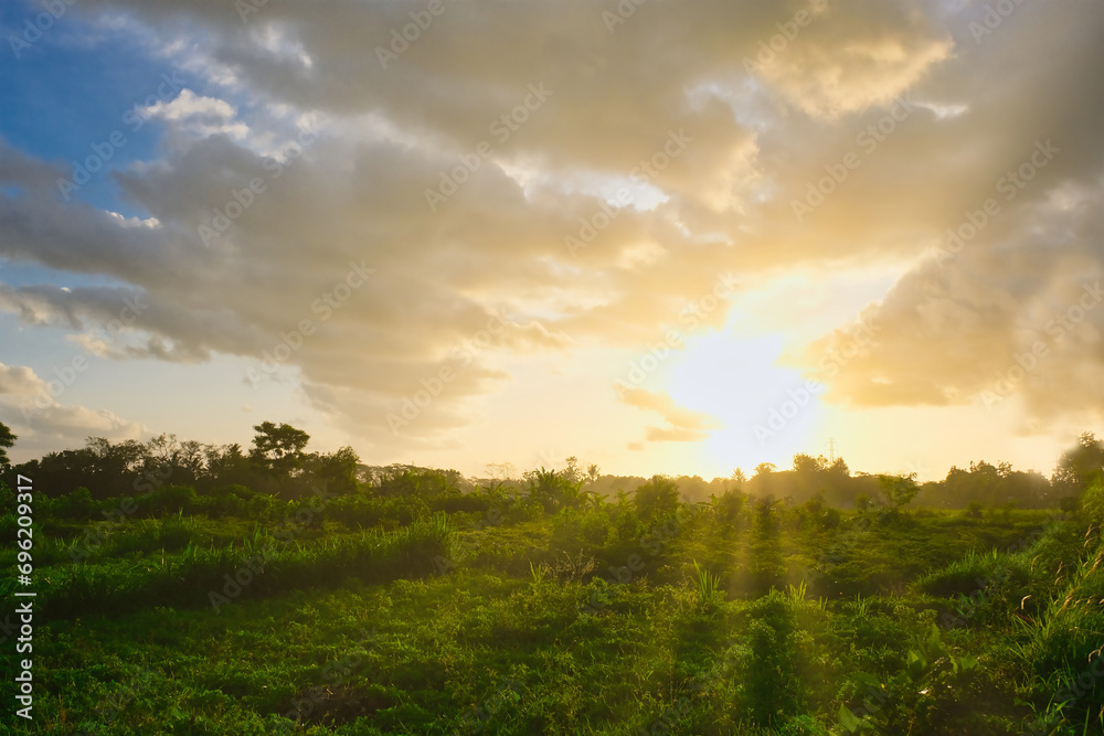 golden evening sun penetrating cloudy sky, over tropical field of Indonesia