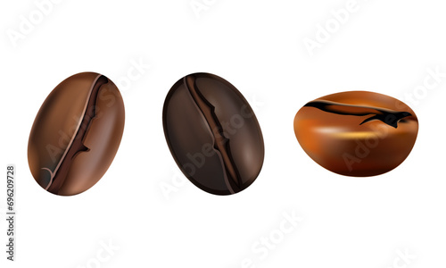 Vector dark roasted coffee beans set in different positions