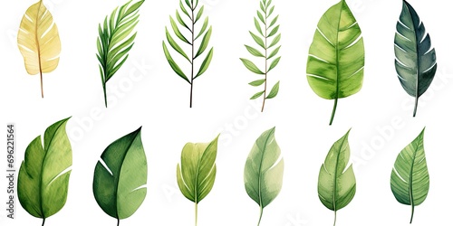 Green Leaf Stencil Set with six different leaf silhouettes