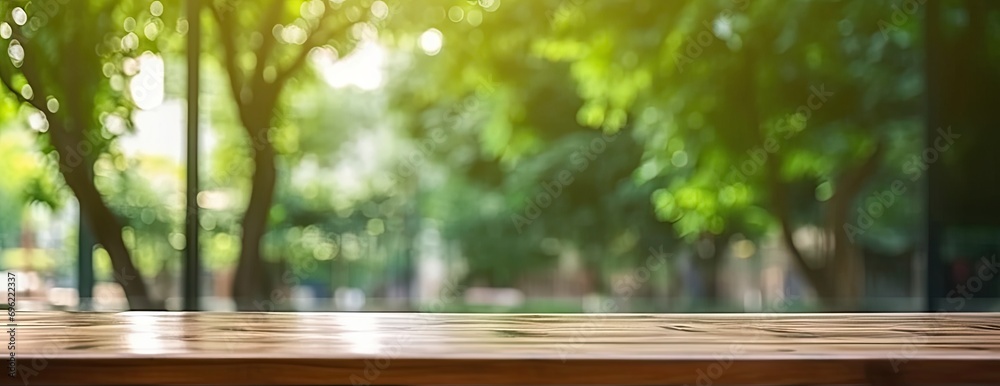 Charming balance between nature and interior design is beautifully depicted. Wooden table bathed in soft glow of natural light streaming through nearby window becomes canvas for collection of plants Charming balance between nature and interior design is beautifully depicted. Wooden table bathed in soft glow of natural light streaming through nearby window becomes canvas for collection of plants