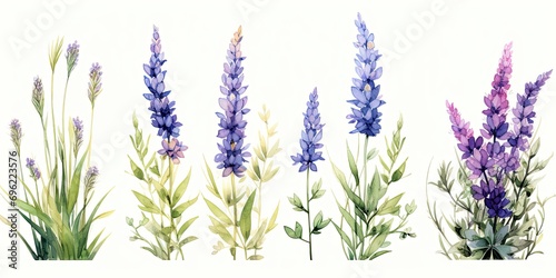 Four Stemmed Flowers in Watercolor