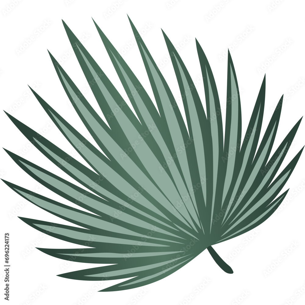 Fototapeta premium Tropical Leaves Illustration 
