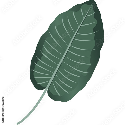 Tropical Leaves Illustration 