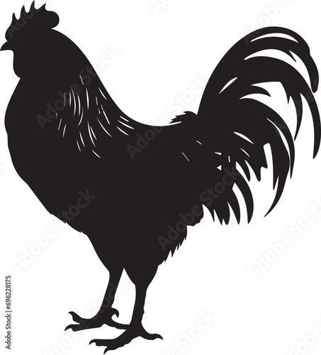 Black silhouette Rooster hen on white background.