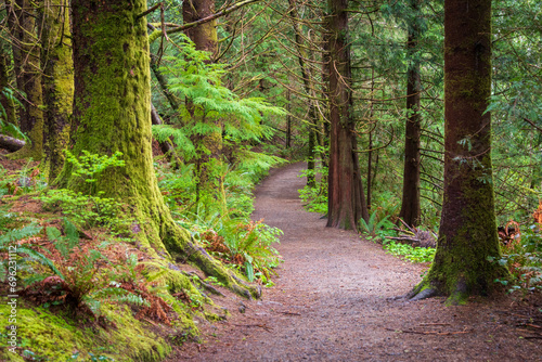 Принти на полотні Fort to Sea Trail at Lewis and Clark National and State Historical Parks