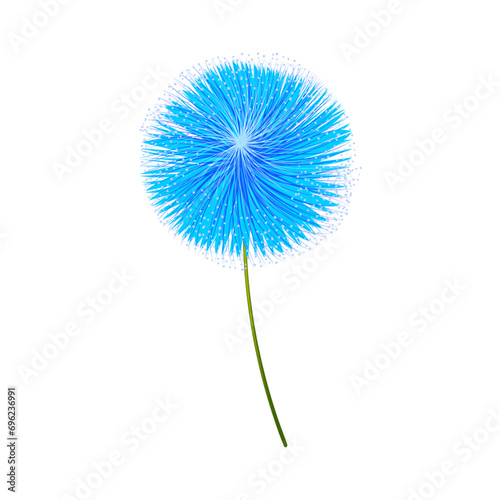 Vector blue allium flower on white background