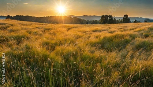 sunset in the field