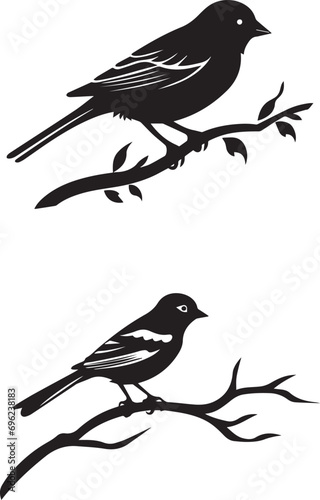Black silhouette Sparrow bird on the branch white background
