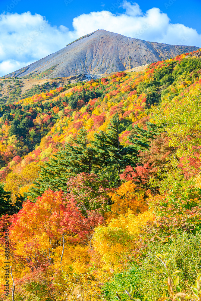 Fototapeta premium 秋の磐梯吾妻スカイライン 天狗の庭 福島県福島市 Bandai Azuma skyline in autumn. Fukushima Pref, Fukushima City.