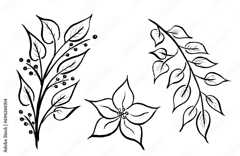 Fototapeta premium linear drawing, branches and flowers with lines. Watercolor drawing