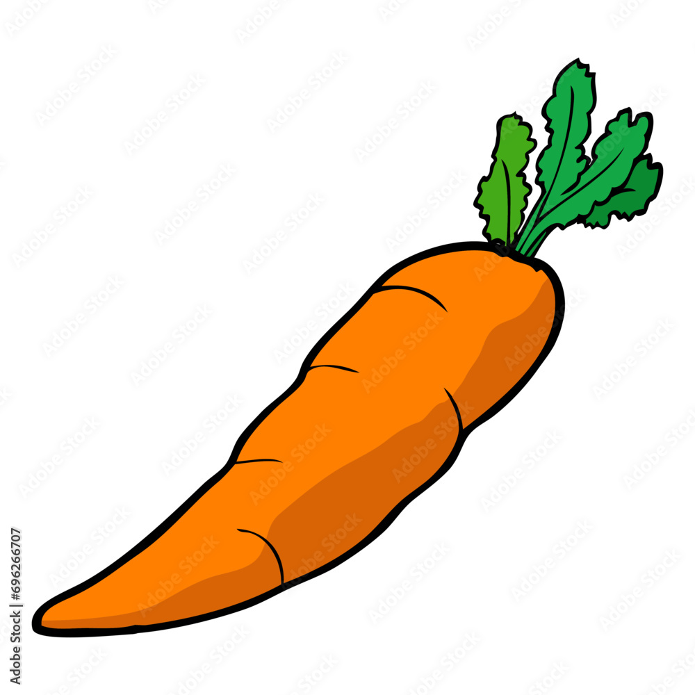 carrot vector illustration carrot vector illustration