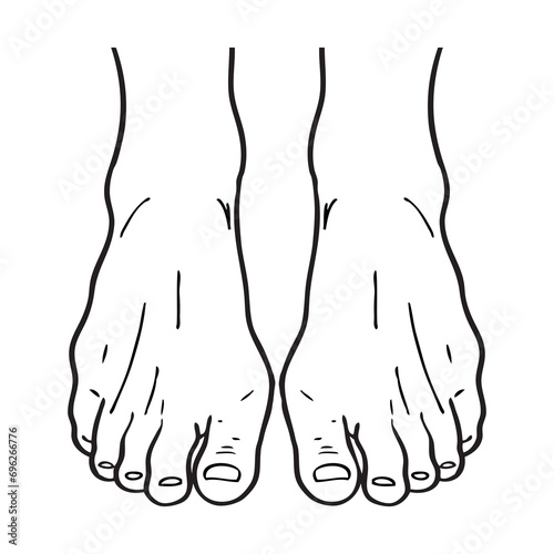 foot line vector illustration